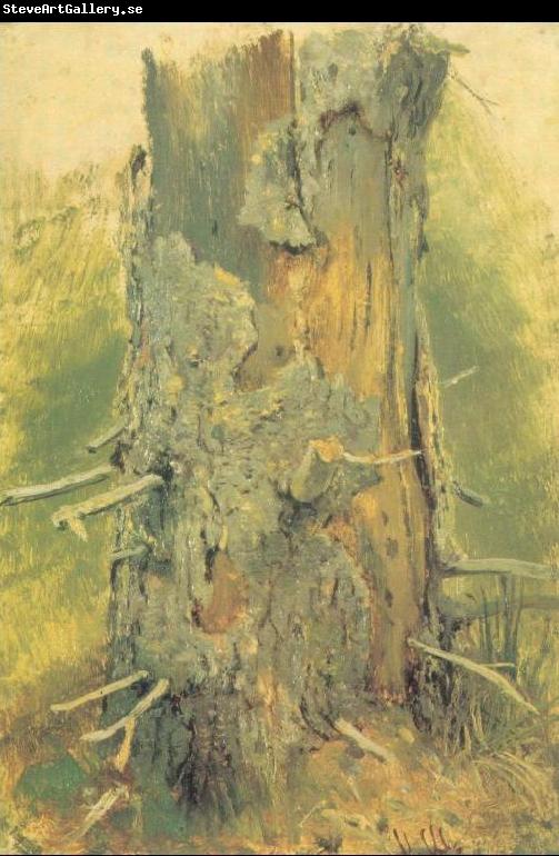 Ivan Shishkin Bark on Dried Up Tree